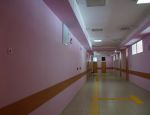 DSC02310.jpg